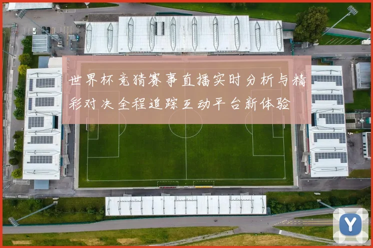 世界杯竞猜赛事直播实时分析与精彩对决全程追踪互动平台新体验