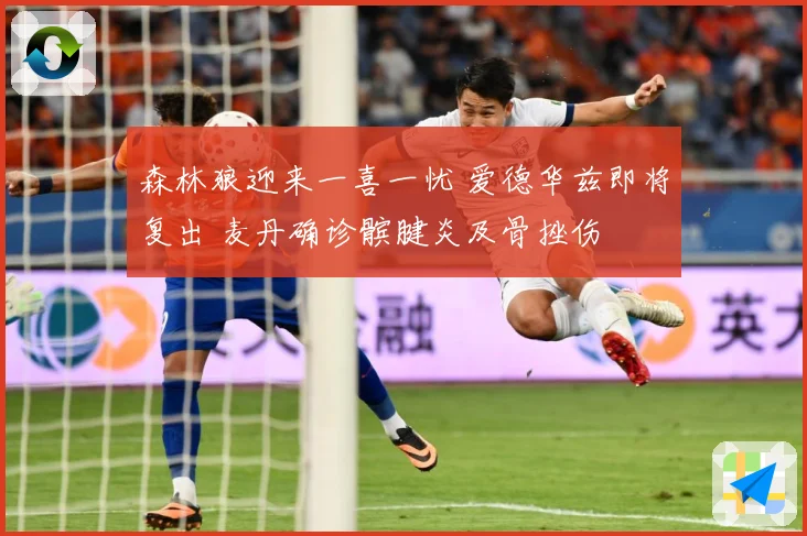 森林狼迎来一喜一忧 爱德华兹即将复出 麦丹确诊髌腱炎及骨挫伤