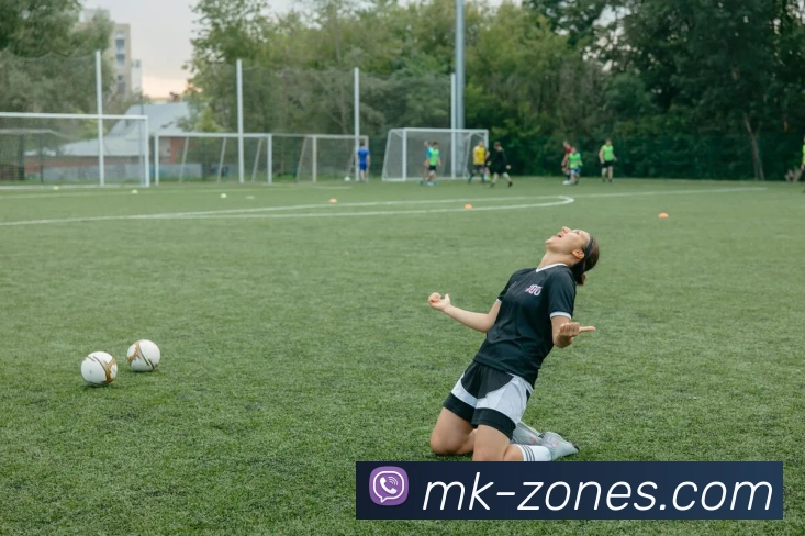 MK体育平台展示图